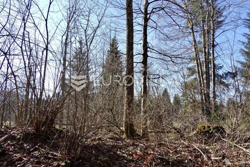 Thumbnail 6252504 - 2