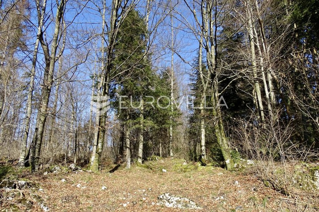 Image 6252504 - 1