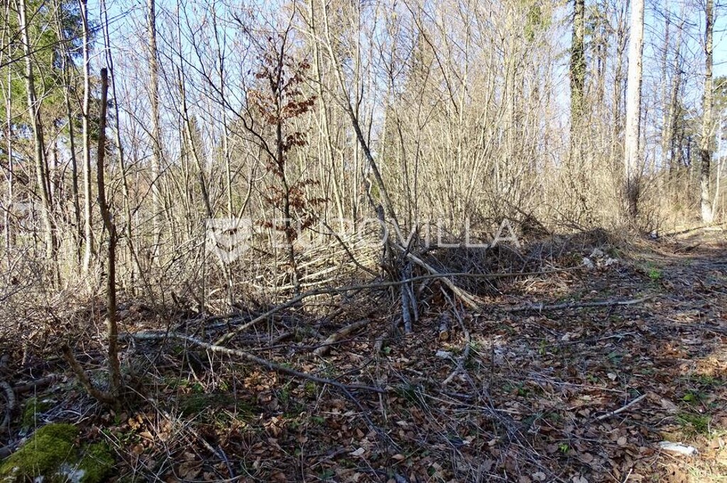 Image 6252504 - 12