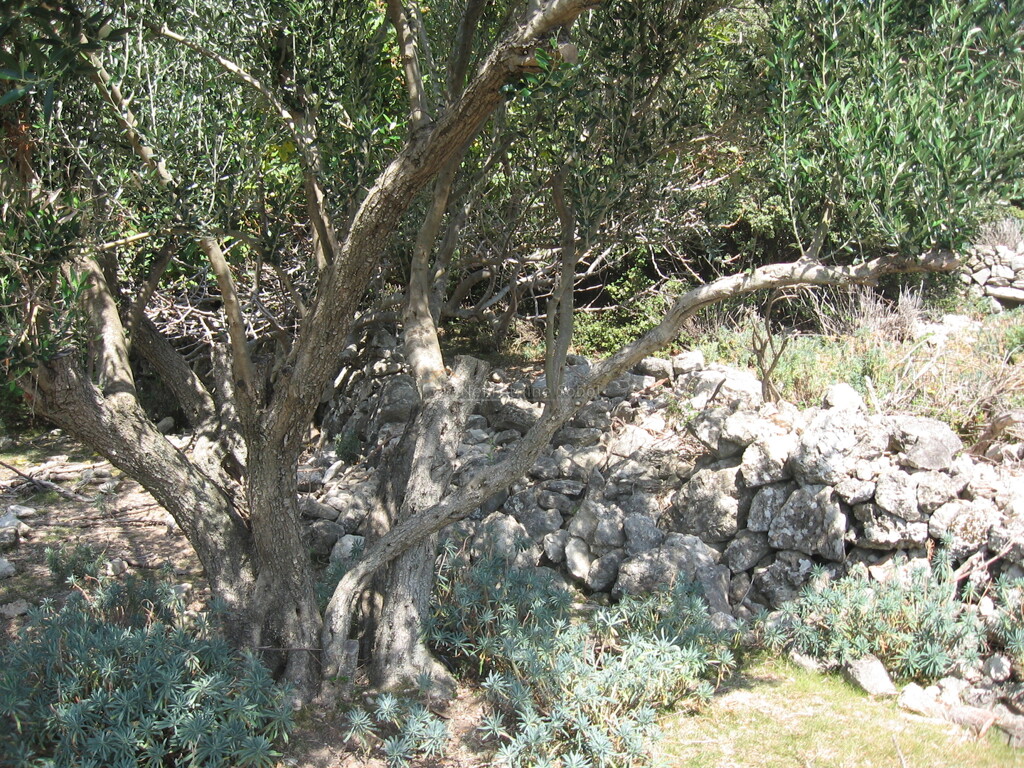 Image 6252532 - 10
