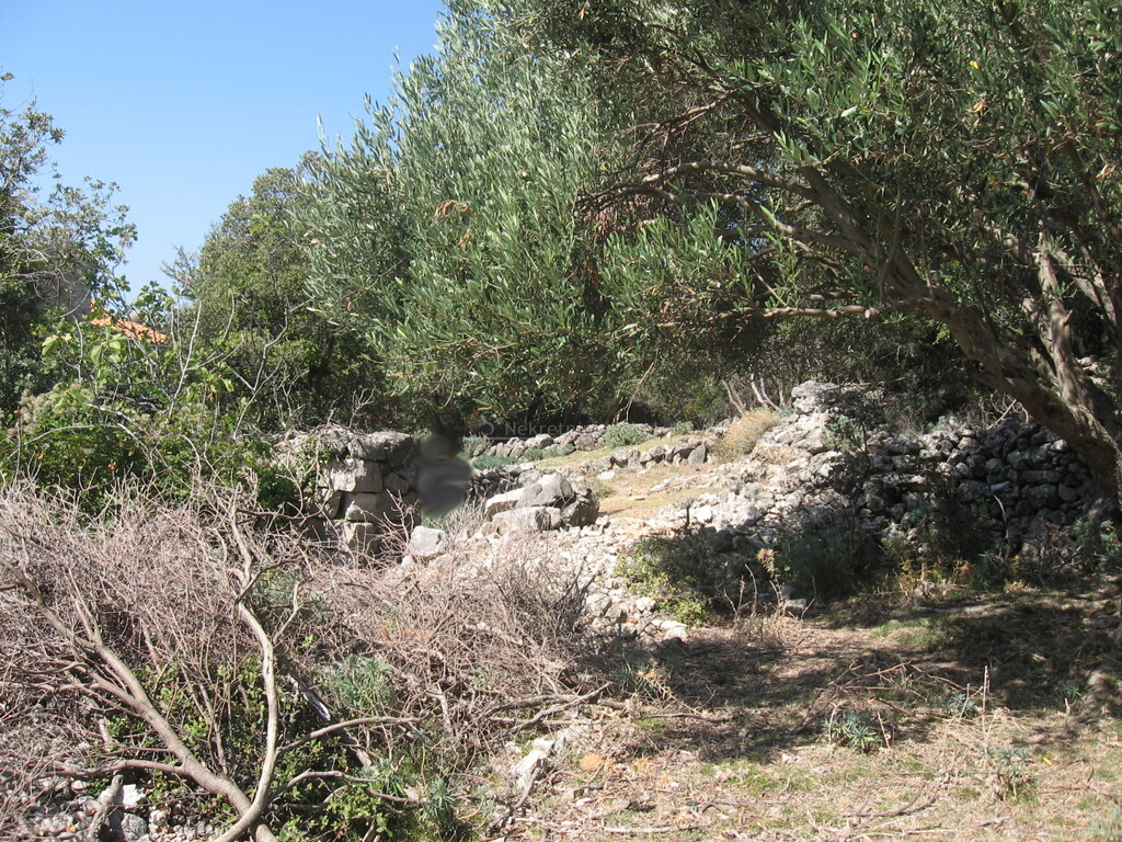 Image 6252532 - 8