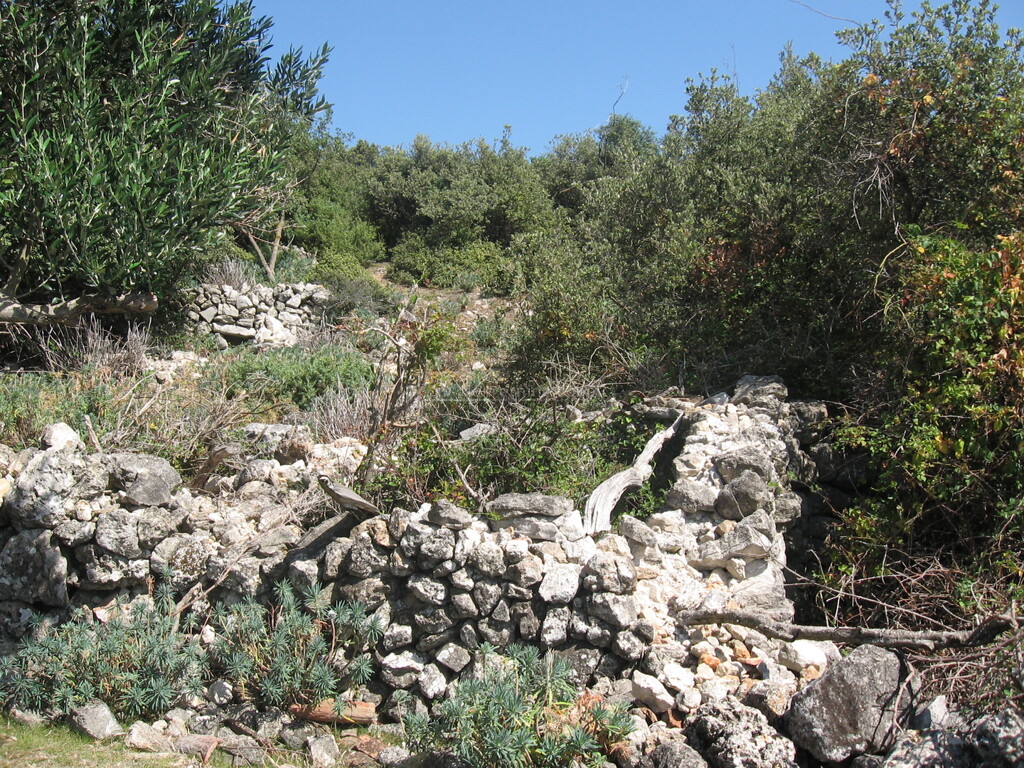 Image 6252532 - 11