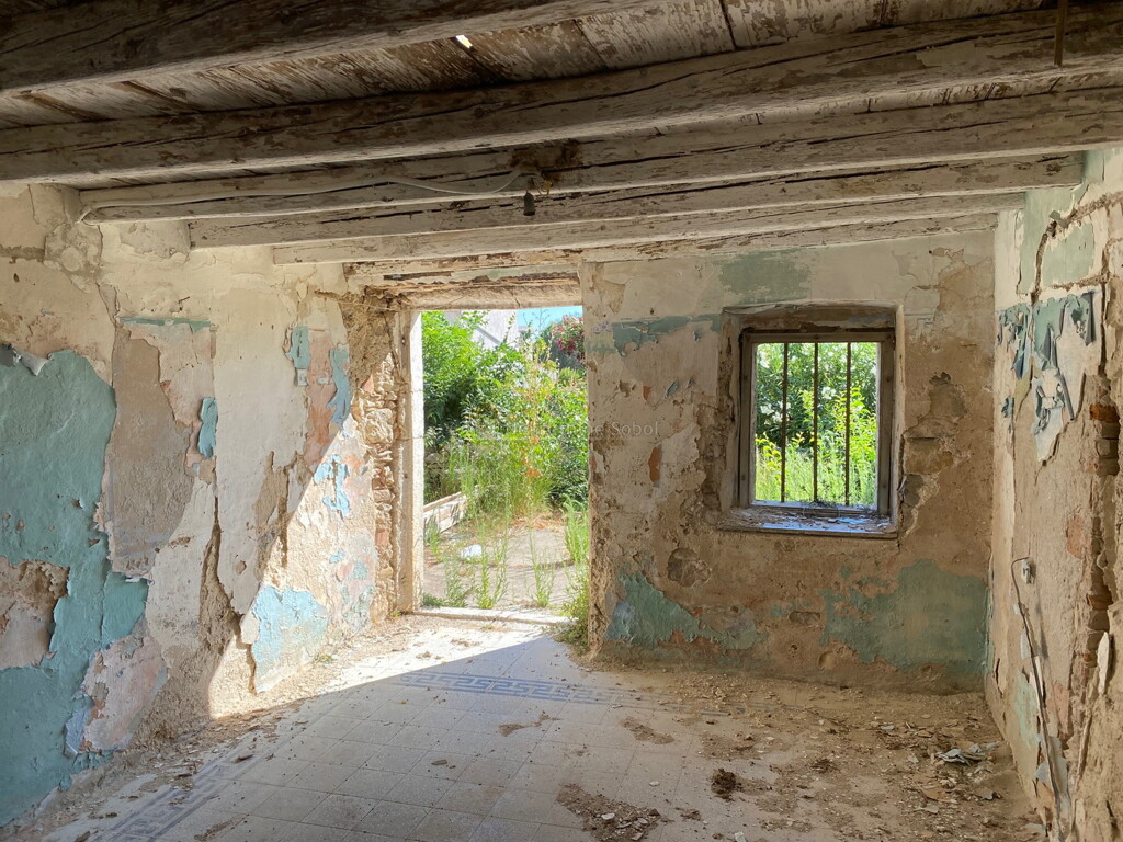 Image 6252534 - 5