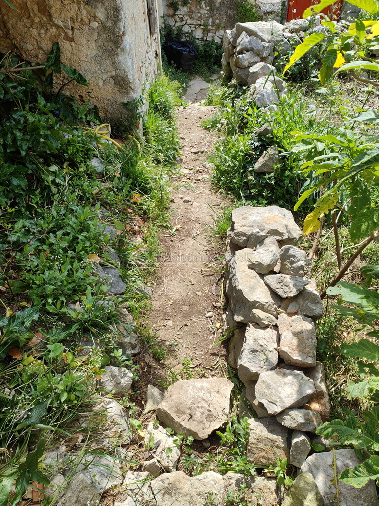 Image 6252541 - 8