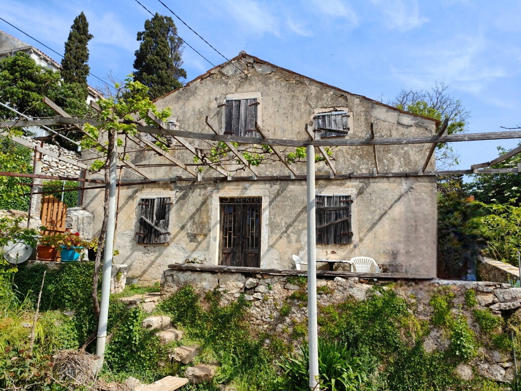 Image 6252541 - 1
