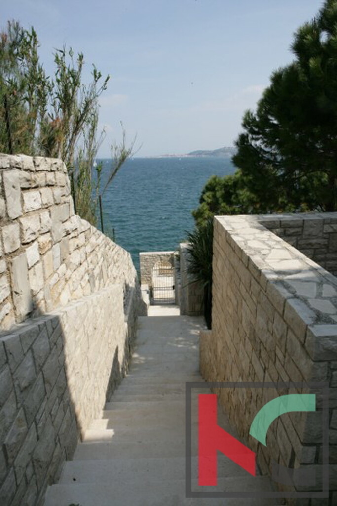 Image 6252555 - 6