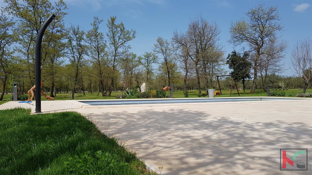 Image 6252556 - 5