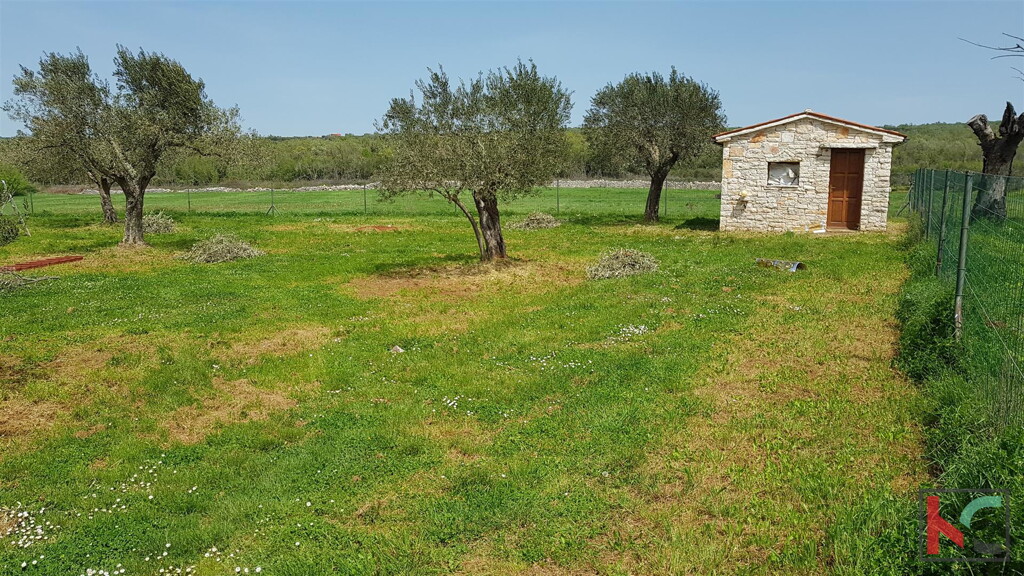 Image 6252556 - 24