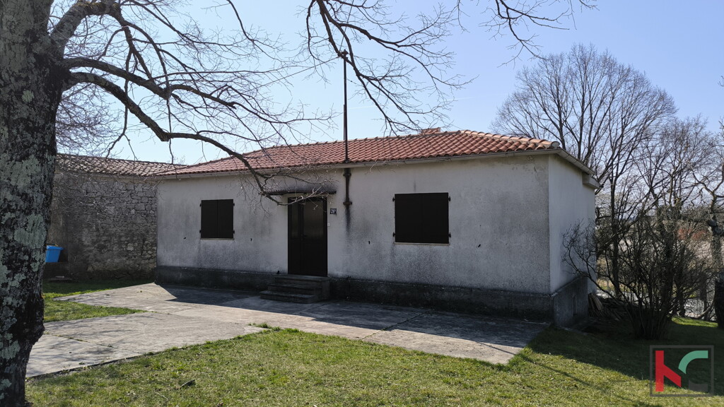 Image 6252557 - 4