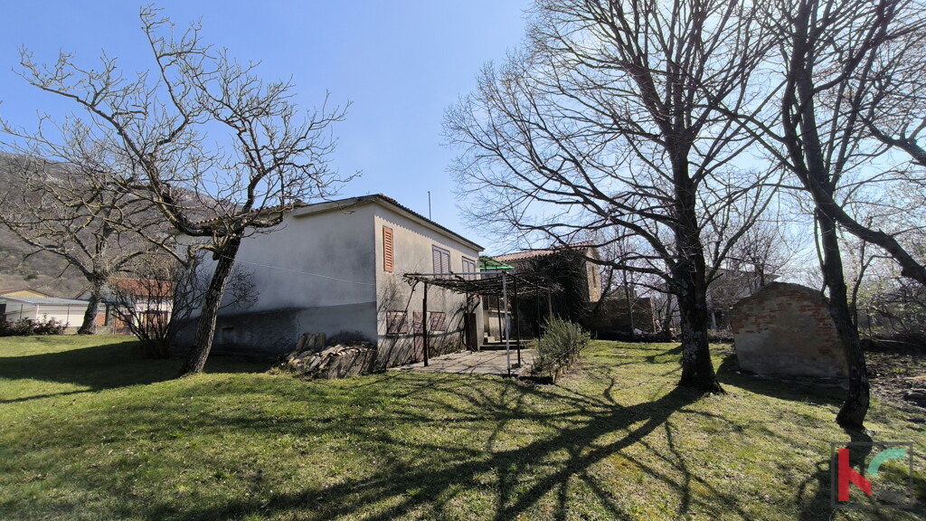 Image 6252557 - 5