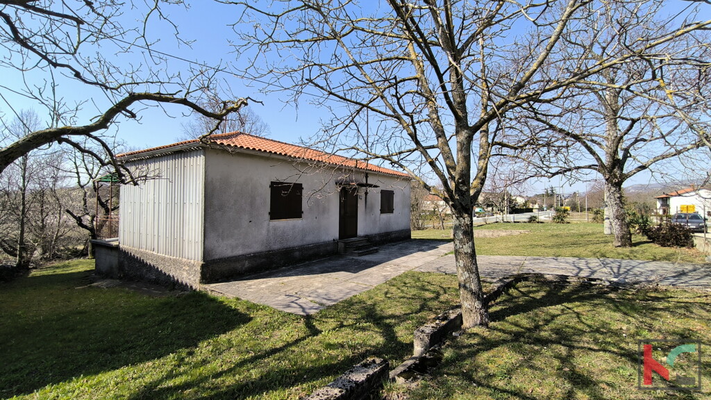 Image 6252557 - 3