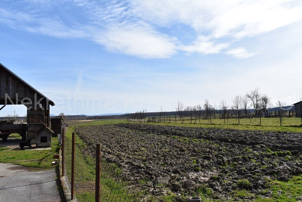 Image 6252610 - 19
