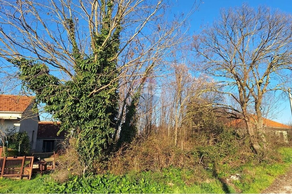 Image 6252655 - 2