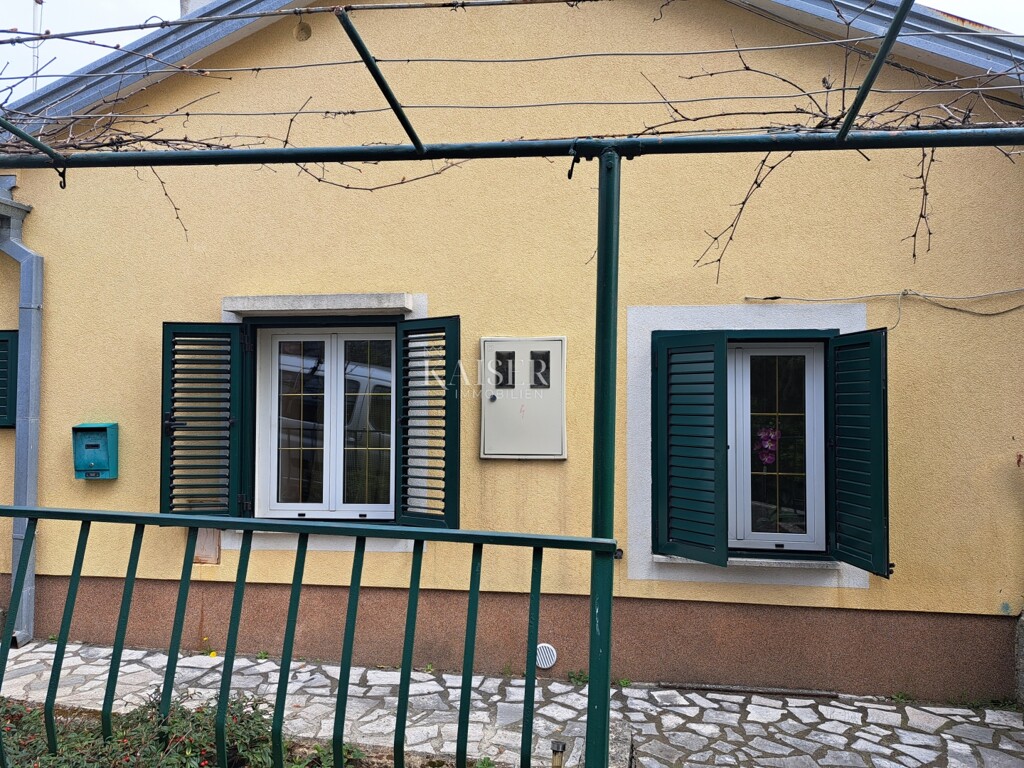 Image 6252661 - 1