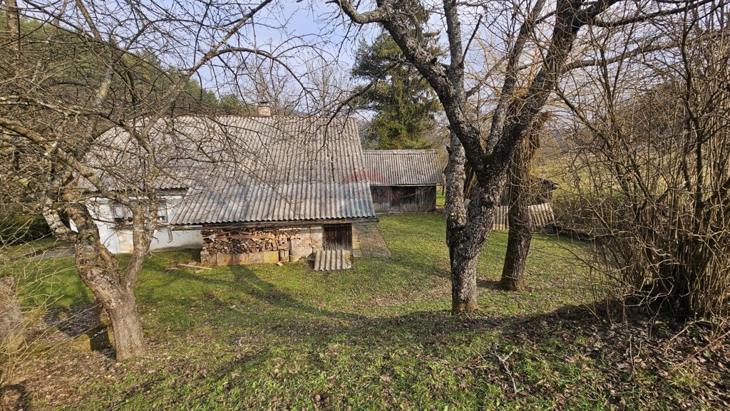 Image 6252708 - 6