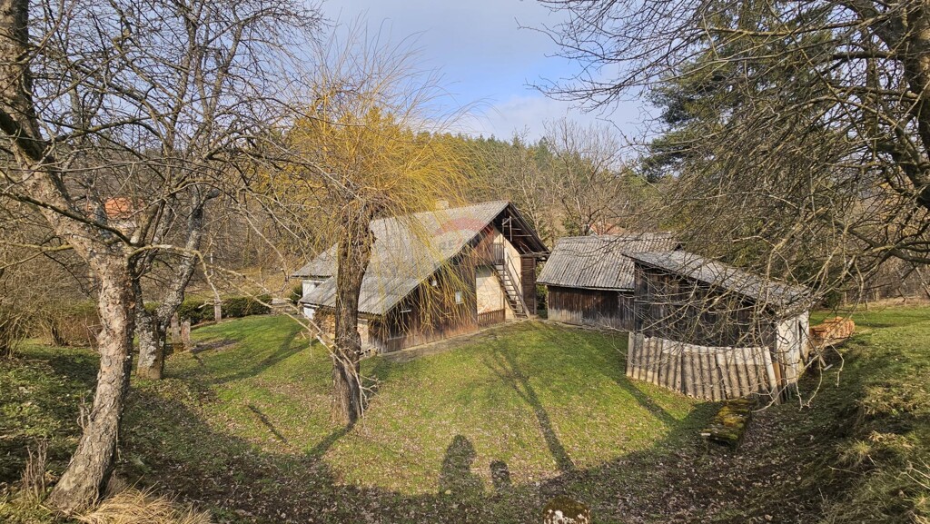 Image 6252708 - 1
