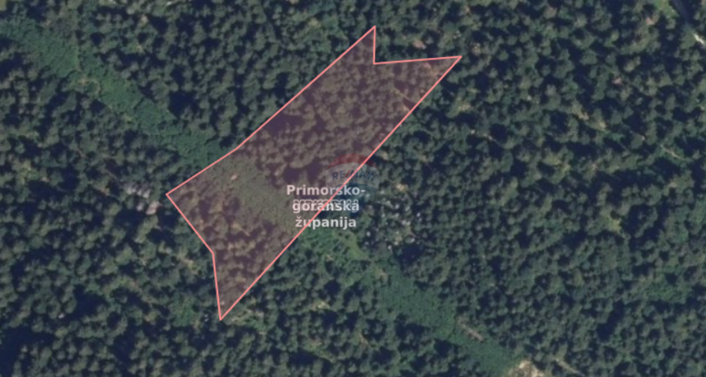 Image 6252709 - 3