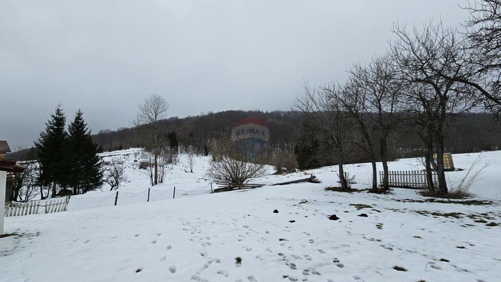 Image 6252710 - 8