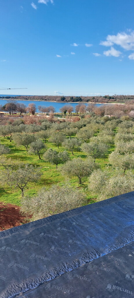 Image 6252715 - 11