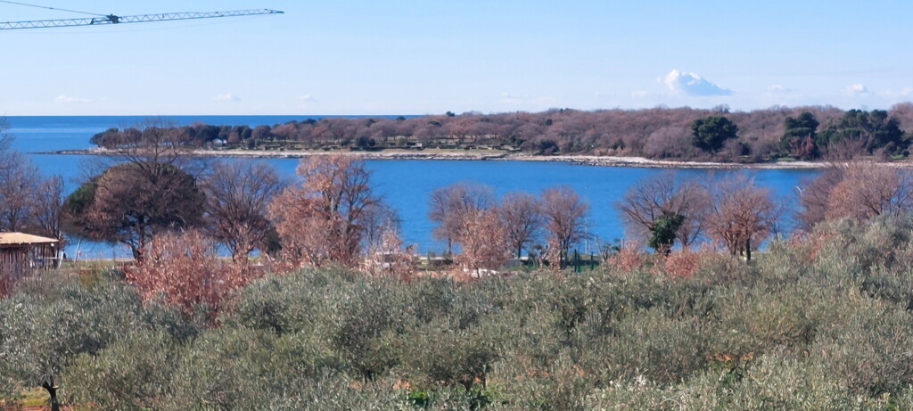 Image 6252715 - 9