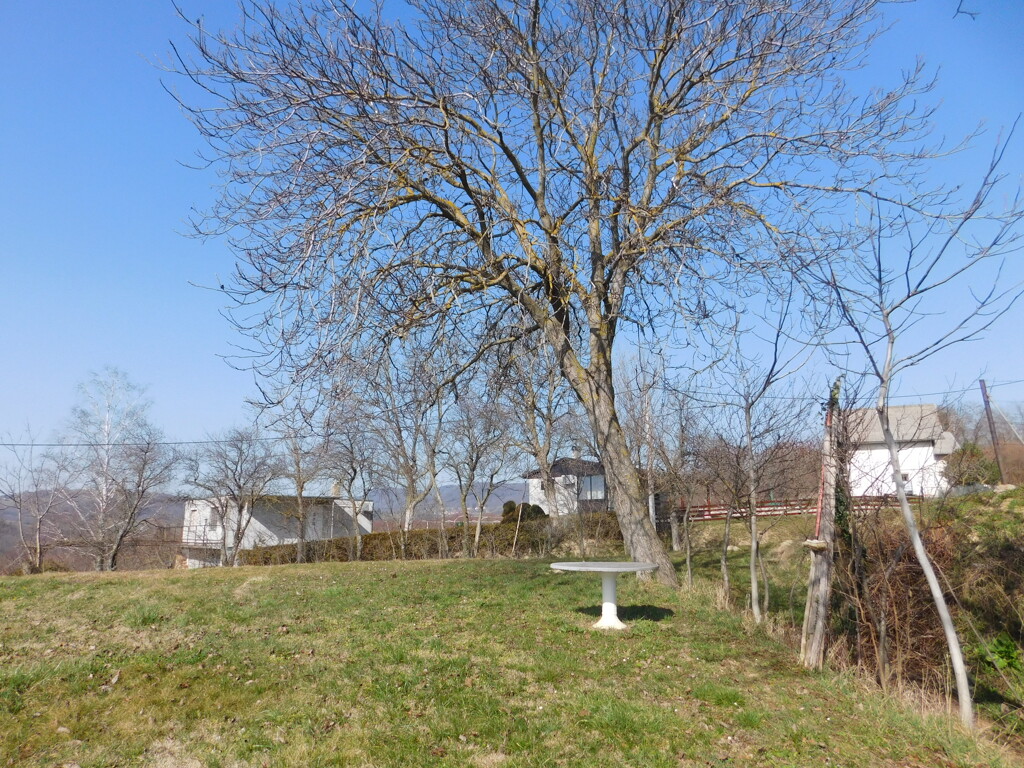 Image 6252854 - 8