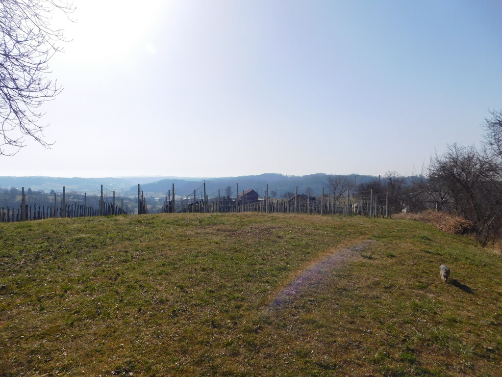 Image 6252854 - 14