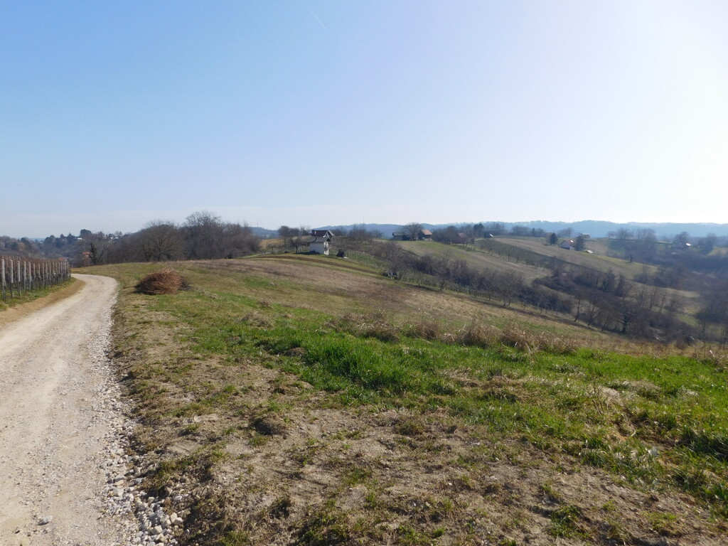 Image 6252860 - 1