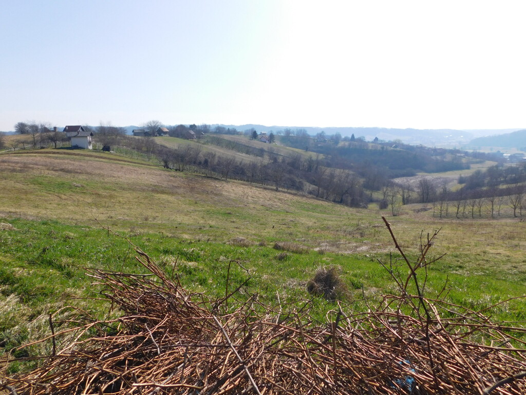 Image 6252860 - 3