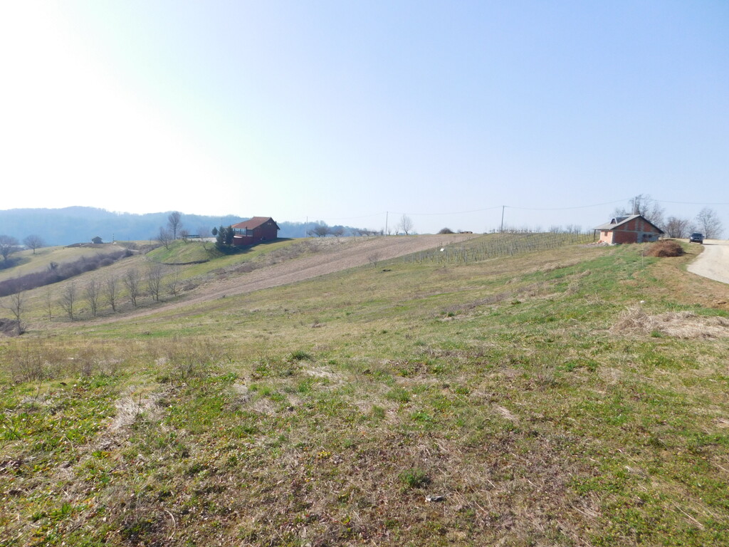 Image 6252860 - 6