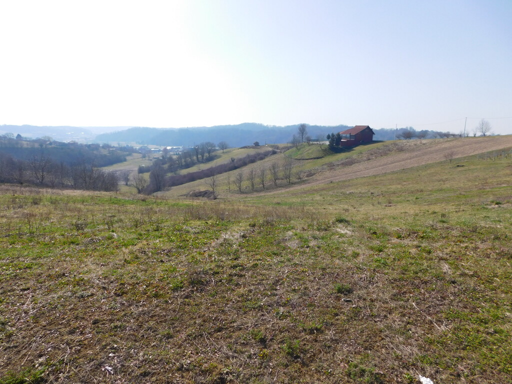 Image 6252860 - 5