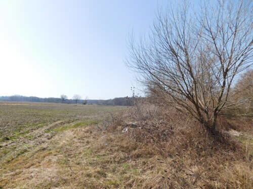 Thumbnail 6252870 - 2