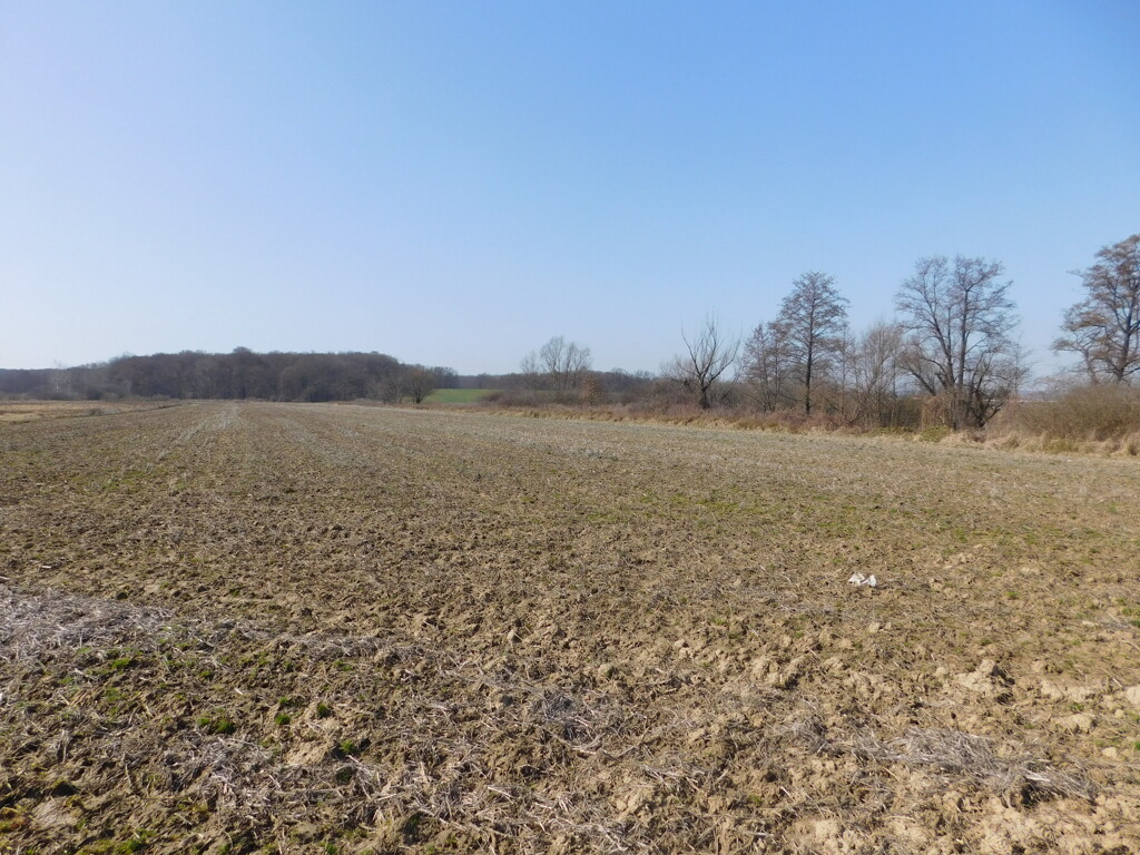 Image 6252870 - 1