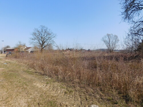 Thumbnail 6252870 - 5