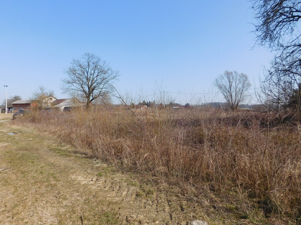 Image 6252870 - 5