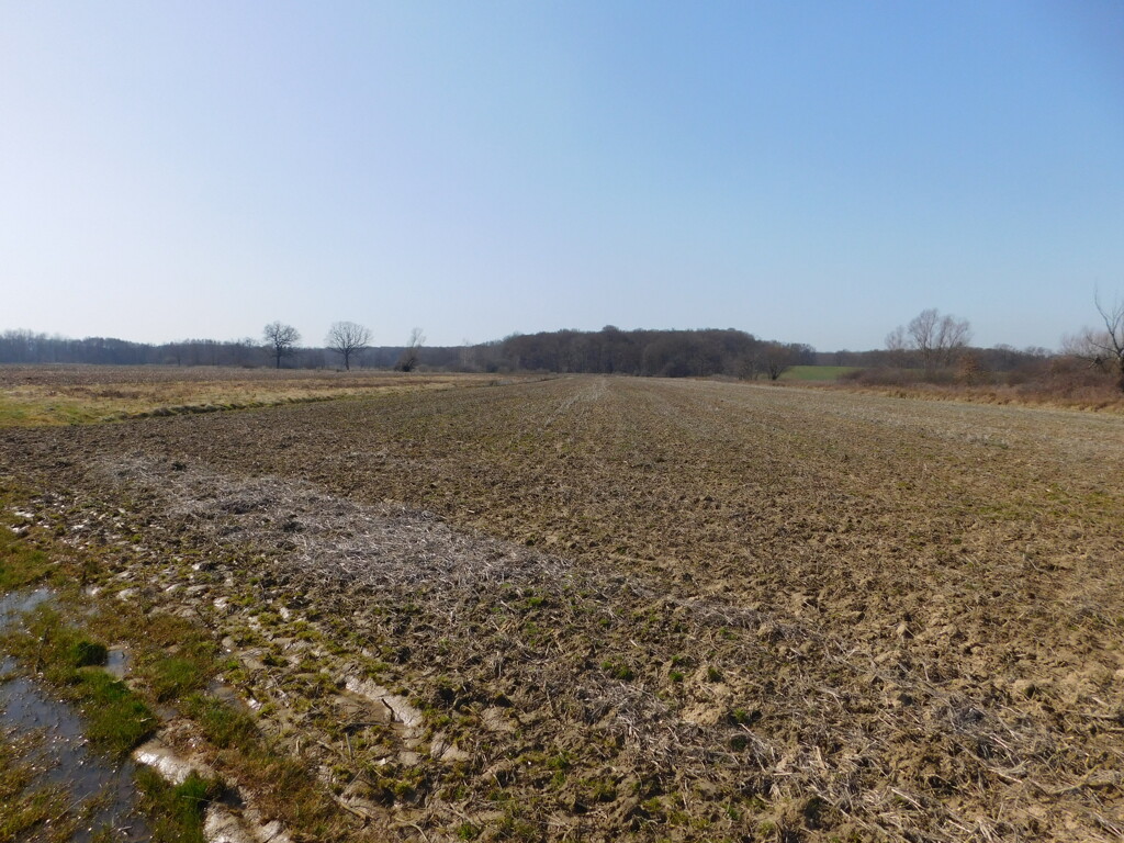 Image 6252870 - 4