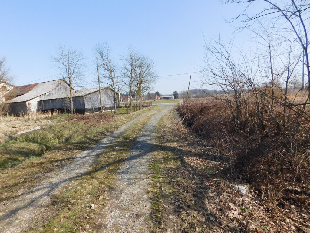 Image 6252870 - 3