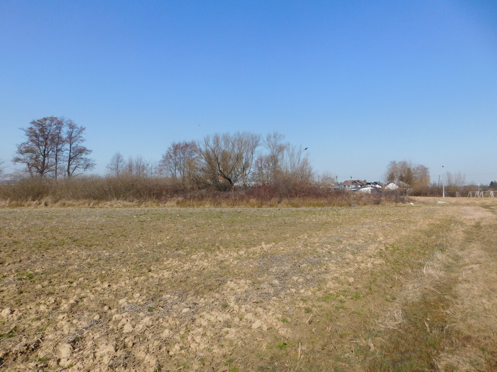 Image 6252870 - 8
