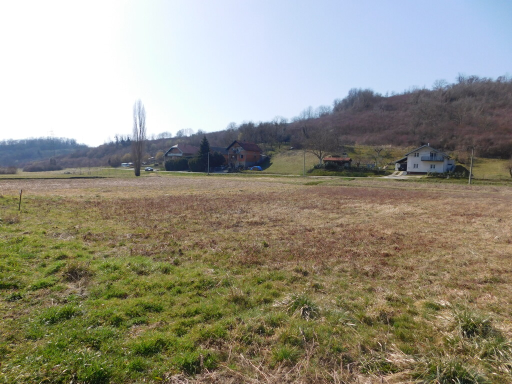 Image 6252892 - 4