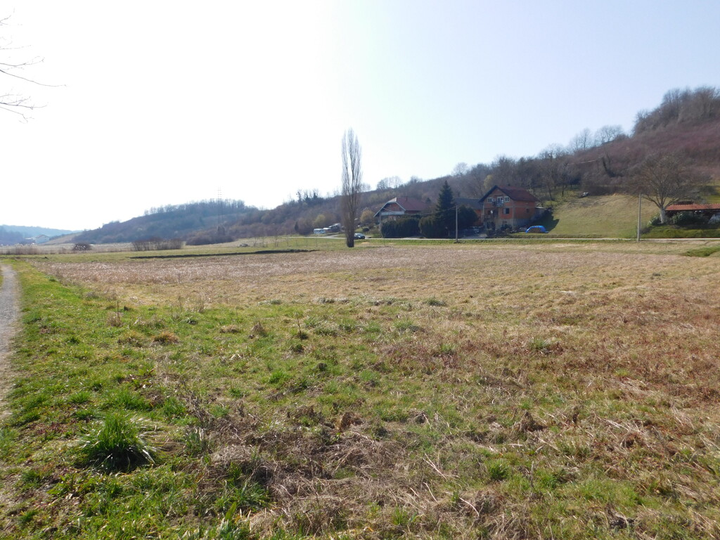 Image 6252892 - 2