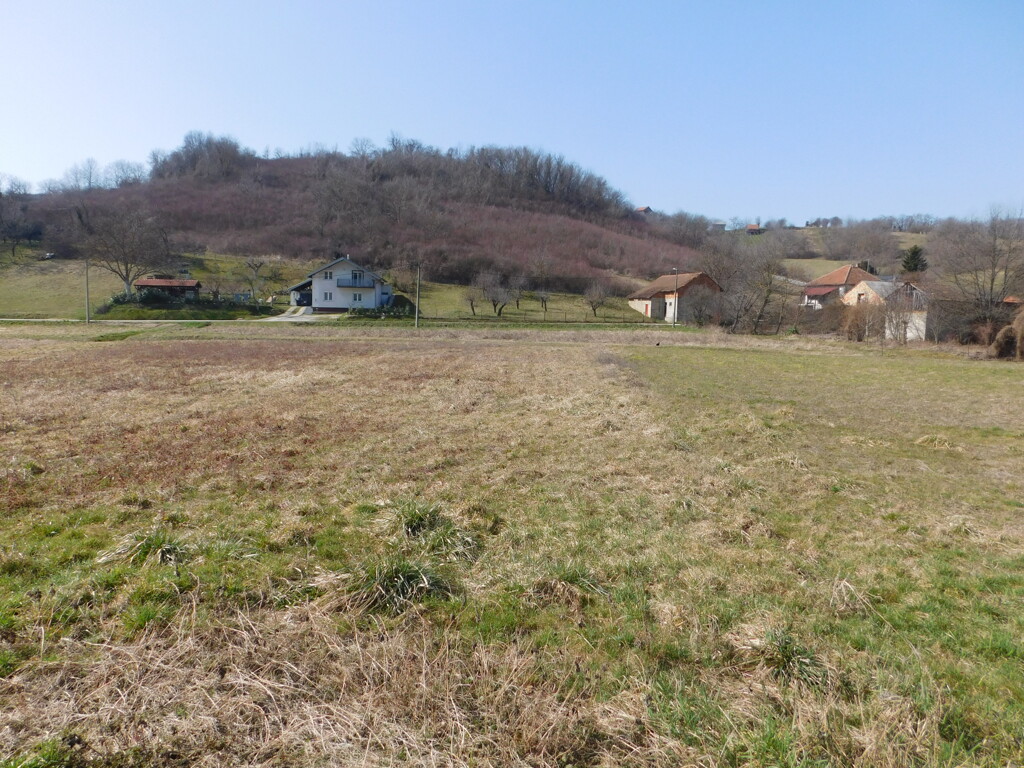 Image 6252892 - 3