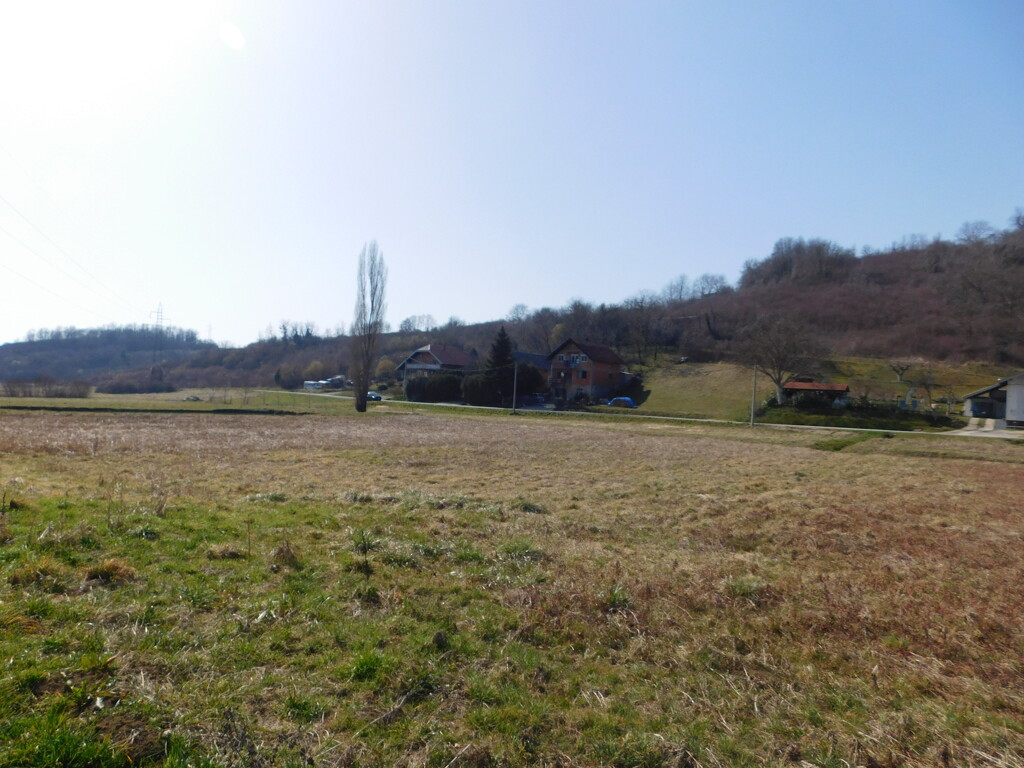 Image 6252892 - 6