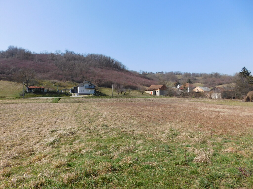 Image 6252892 - 9