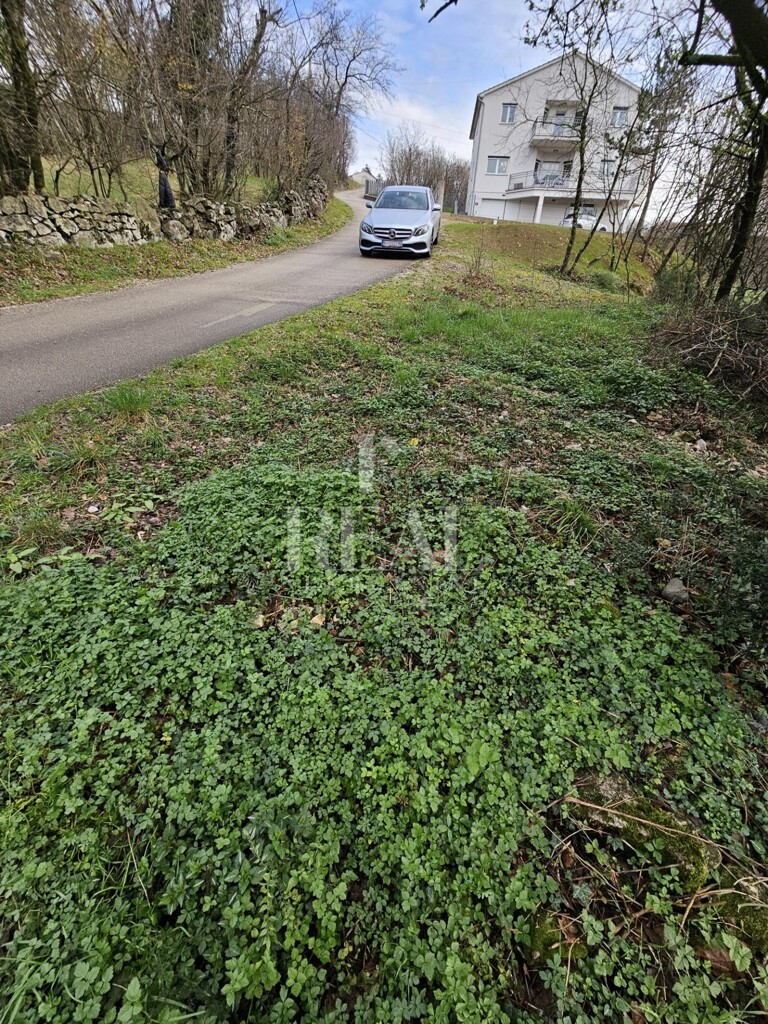 Image 6253030 - 7