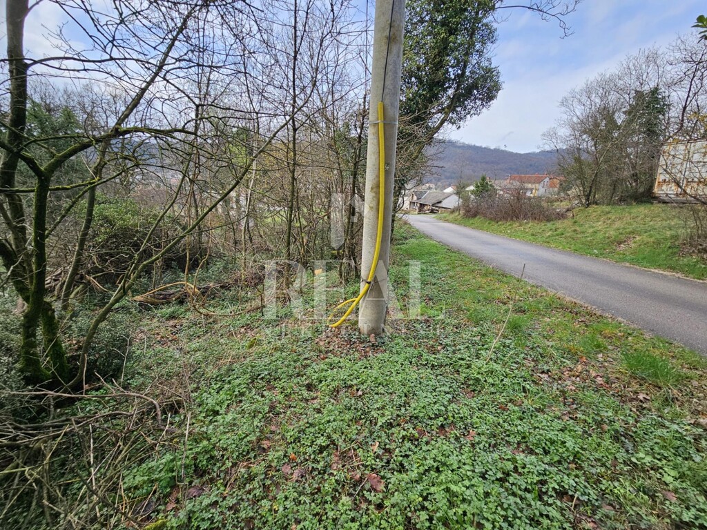 Image 6253030 - 6