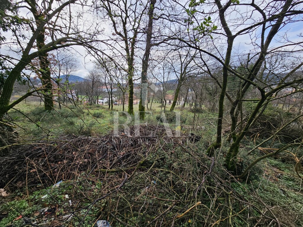 Image 6253030 - 3