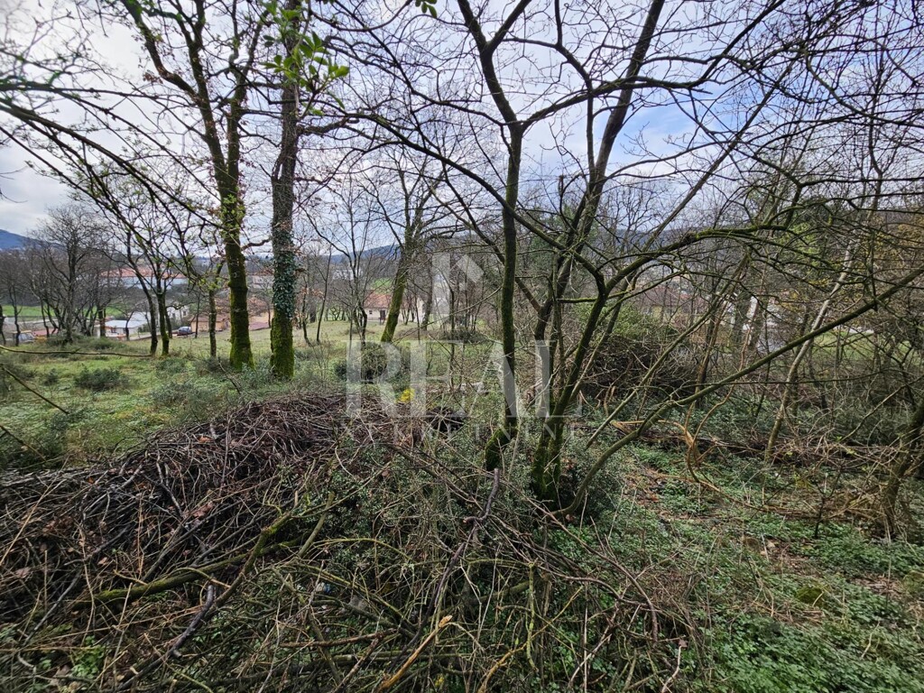 Image 6253030 - 4