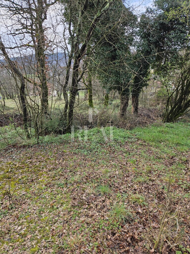 Image 6253030 - 1