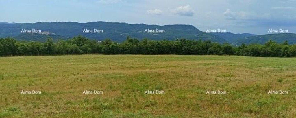 Image 6253035 - 7
