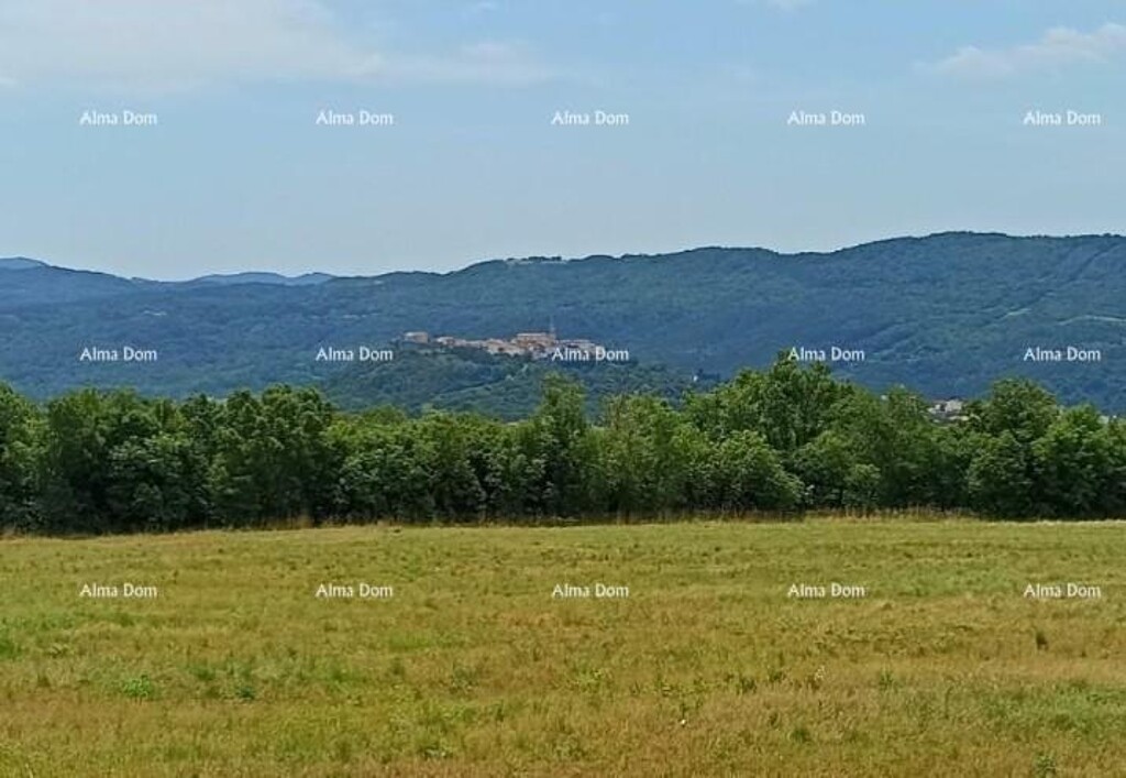 Image 6253035 - 2