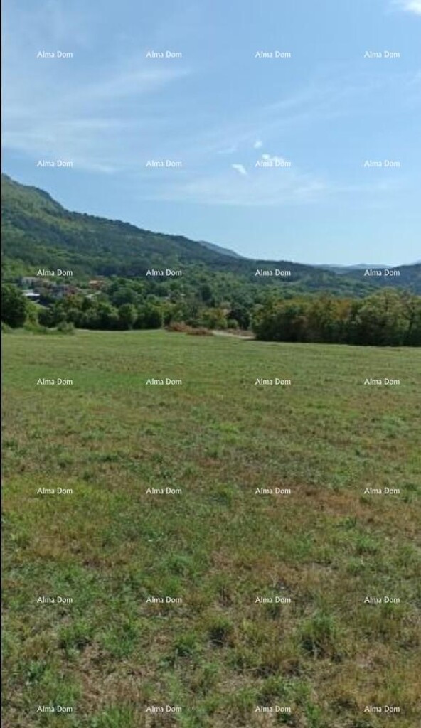 Image 6253035 - 5